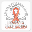 Search for kidney cancer month stickers Orange