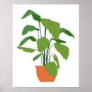 Search for pot plants posters Houseplant