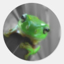 Search for cool frog stickers Toad