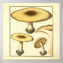 Search for commons art Vintage