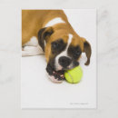 Search for biting postcards Vertical