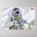 Search for combat posters Navy