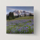 Search for mount rainier badges National park