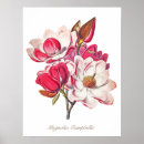 Search for posh posters Floral