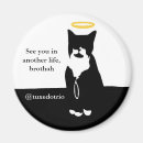 Search for rip magnets Cat