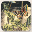 Search for nature cork coasters Insect