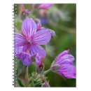 Search for chuck notebooks Summer