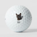 Search for french bulldog golf equipment Pet