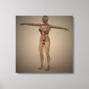 Search for sexual art Human fertility
