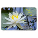 Search for give up magnets Encouragement