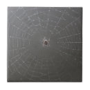 Search for spider web tiles Spiders
