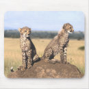 Search for cheetah mousepads Cat