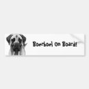 Search for boerboel South