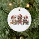 Search for opossum christmas tree decorations Santa