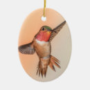 Search for hummingbird christmas tree decorations Garden