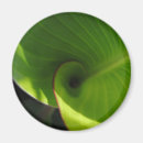 Search for green leaf magnets Macro