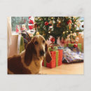 Search for dog christmas postcards Happy