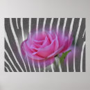 Search for zebra pink art Flower