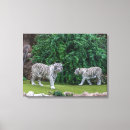 Search for white tiger art Home