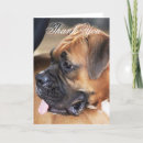 Search for boxer dog thank you cards Dogs
