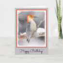 Search for bellies cards Red bellied woodpecker