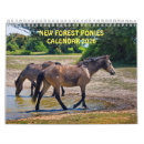 Search for forest calendars Horse