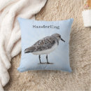 Search for sanderling Coastal