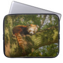Search for panda cases Tree