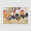 Search for vintage rooster tissue paper Farm