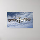 Search for artificial canvas prints Sts 128