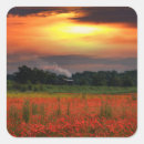 Search for field poppies stickers Floral