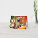 Search for siamese cats cards Animal