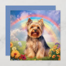 Search for yorkie pet memorials Yorkshire terrier