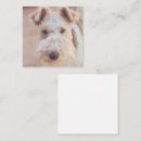 Search for dog type Cute