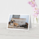 Search for dog and cat mothers day cards Dogs