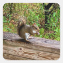 Search for for snacks stickers Animal