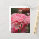 Search for closeup postcards Garden