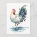 Search for splashes postcards Animal