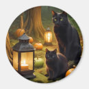 Search for spooky cat magnets Fun