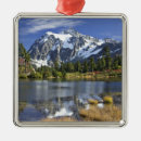 Search for wilderness christmas tree decorations Peaceful