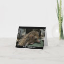 Search for hedge cards Hog