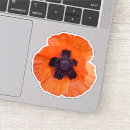 Search for macro labels Poppy