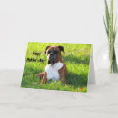 Search for boxer mothers day cards Mum