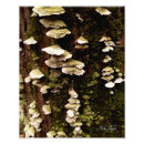 Search for tree stump art Nature