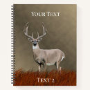 Search for whitetail Hunter