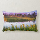 Search for marsh cushions Nature
