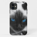 Search for kitty cat iphone cases Siamese