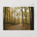 Search for walking trail postcards Path