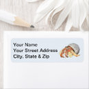 Search for sea shells return address labels Shore