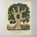 Search for monro posters Founding fathers